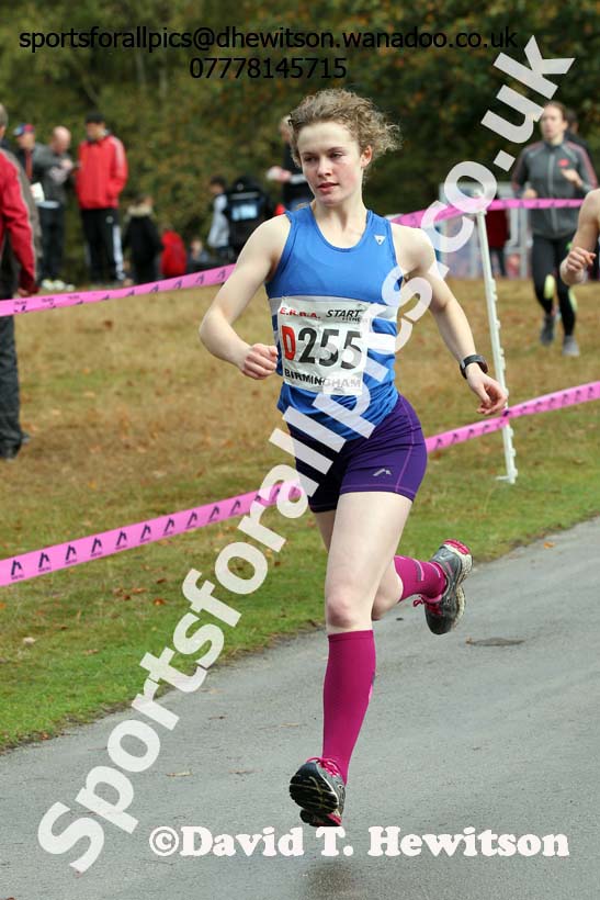 Womens 4 stage road relay, English National 6 and 4 Stage Road Relays, Sutton Park, Birmingham. Photo: David T. Hewitson/Sports for All Pics